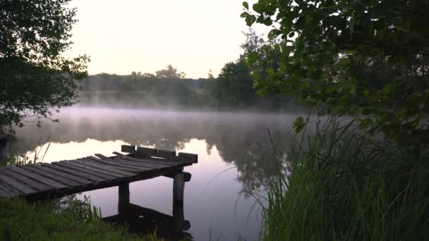 Nebel am Morgen — Stockvideo