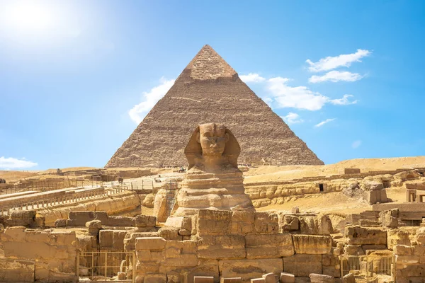 Shinx και πυραμίδα — Φωτογραφία Αρχείου
