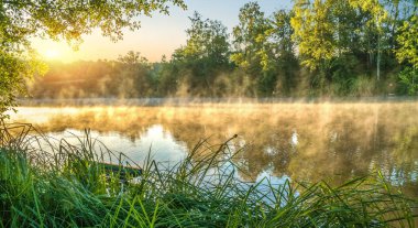 Güneşli bir sabahta ormanda nehirde sis var.
