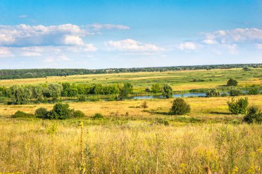 Yeşil çimenli çayır ve yaz günü uzun nehir.