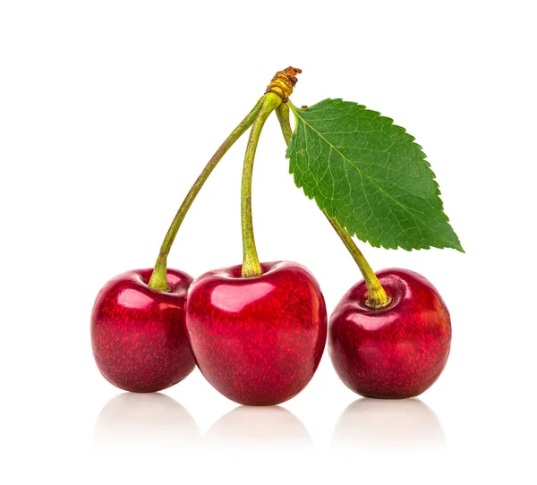 Три красные вишни — стоковое фото