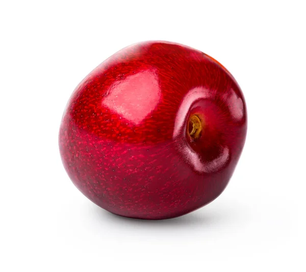 Одна красная вишня — стоковое фото