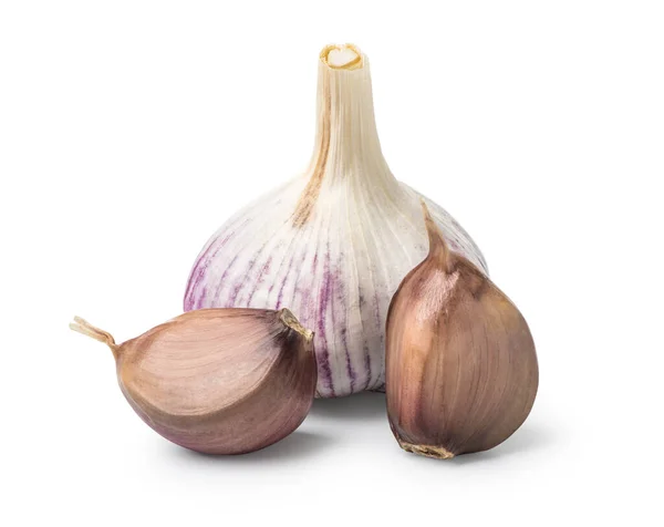 Head and cloves of garlic — Stock Photo, Image