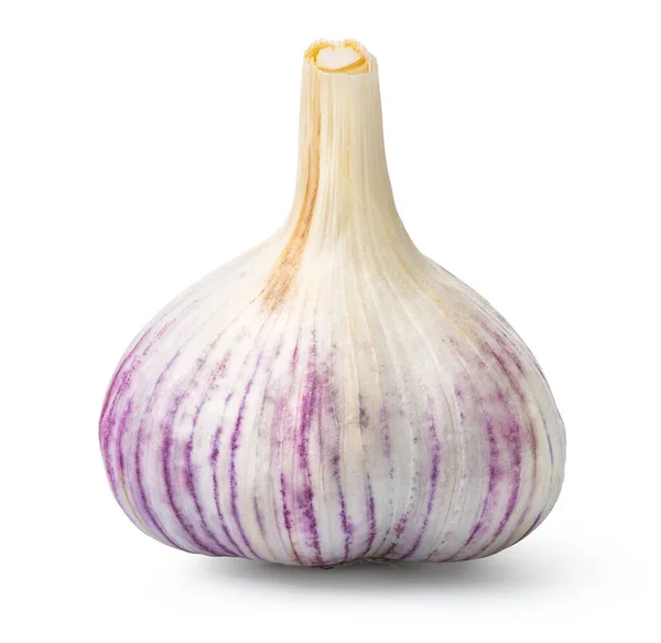 Head of garlic — Stock Photo, Image