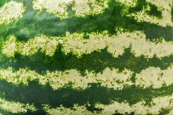 Полосатый арбуз — стоковое фото