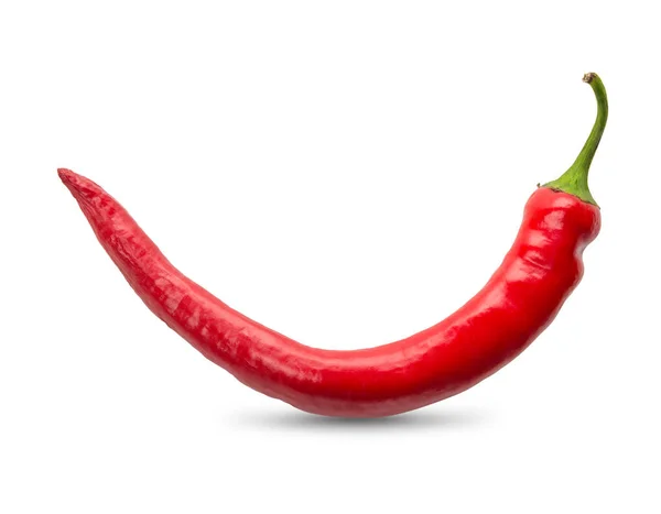 Red chili pepper Stock Picture