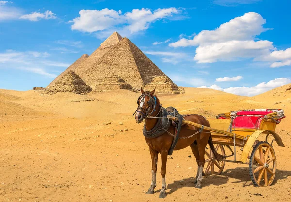 Koń w pobliżu piramid — Zdjęcie stockowe