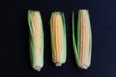 Olgun Mısır ve buğday bir siyah arka plan, üstten görünüm, kopya için alan