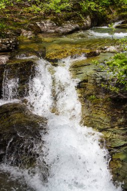 Yaz aylarında görüntü basamaklı Ptarmigan Falls buzul Milli Parkı'nda.