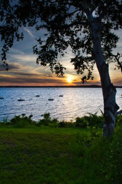 Coast Maine ile ön planda okyanus boyunca ufukta güneş ayarı.
