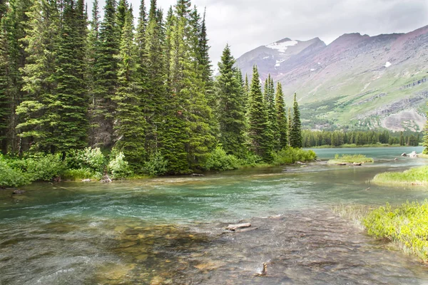 Arroyo Montaña Parque Nacional Glaciar Pasa Través Bosque — Foto de Stock