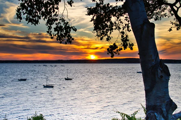 Puesta Del Sol Horizonte Largo Costa Maine Con Océano Primer — Foto de Stock