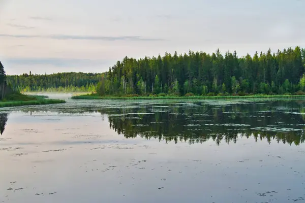 Sabah erken saatlerde bir gölde Prens Albert Milli Parkı'nda.