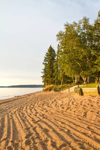 캐나다의 공원에 Waskesiu 호수의 해변에 — 스톡 사진