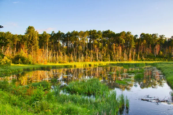 Lac Dans Parc National Prince Albert Tôt Matin — Photo