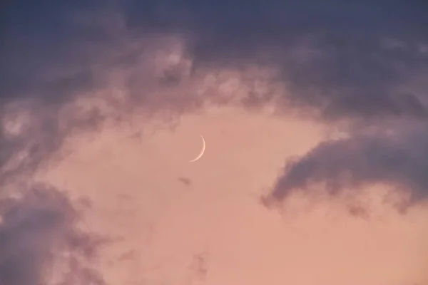 A crescent moon with clouds lit up in a pink evening sky.