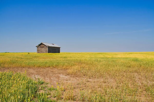 Stará Stodola Pod Modrou Oblohou Great Plains Saskatchewan Kanada — Stock fotografie