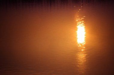 Suda ıslatın ve kopya alanı yansıtan güneş ışığı.