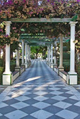 Bir park bir geçit ile çiçek açan çiçeklerle kaplı.