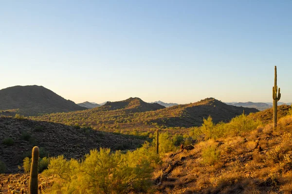 Górzysty Krajobraz Pustyni Arizona Rano Światło Dwóch Saguaro Kaktusy — Zdjęcie stockowe