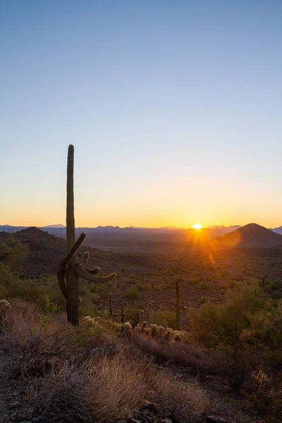 Arizona pustynia wschód słońca z jasnego nieba — Zdjęcie stockowe