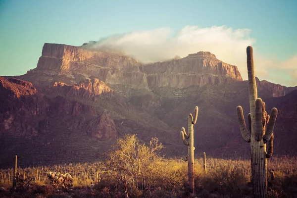 Les montagnes de la Superstition — Photo