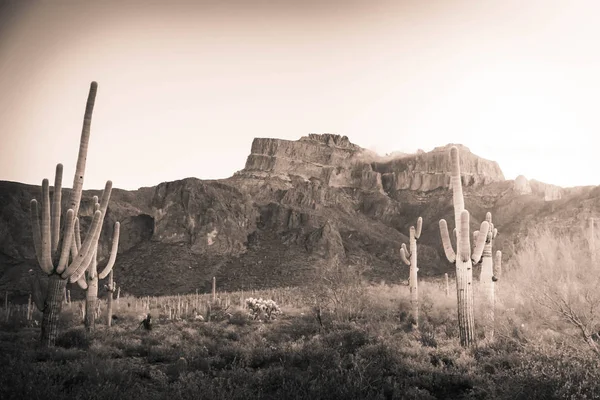 Les montagnes de la Superstition — Photo