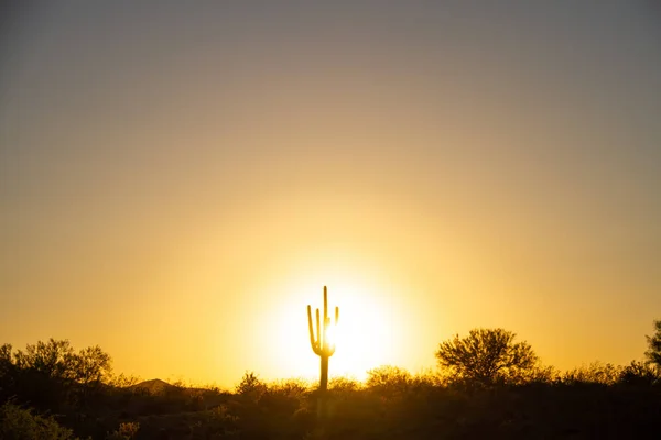 Západ slunce nad pouští teplý pod bezmračnou oblohou — Stock fotografie