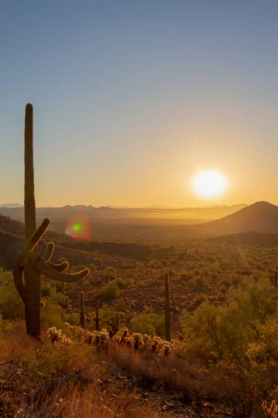 Woestijn van Arizona zonsopgang met een heldere blauwe hemel — Stockfoto
