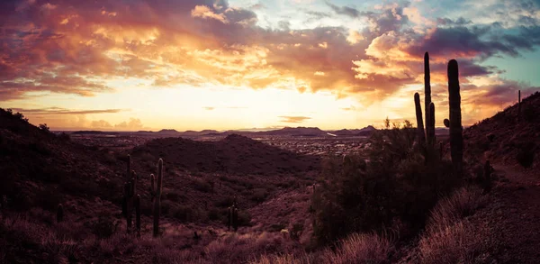 Wüste Sonnenuntergangspanorama bei Phönix, az — Stockfoto