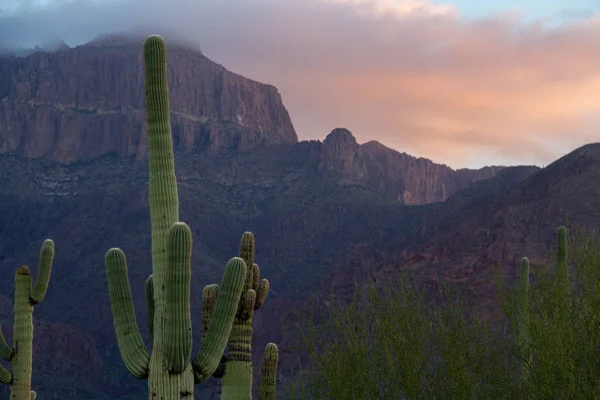 The Superstition Mountains — Stock Photo, Image