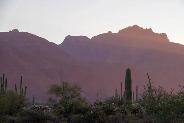 The Superstition Mountains — Stock Photo, Image