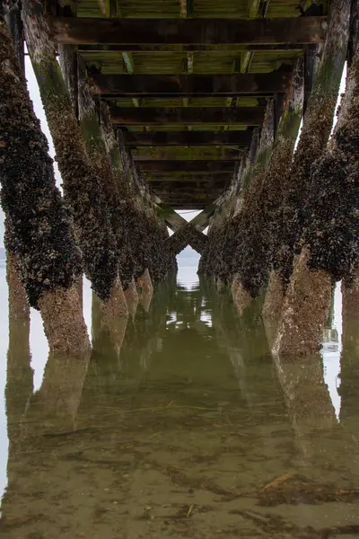 Bajo el muelle de pesca — Foto de Stock