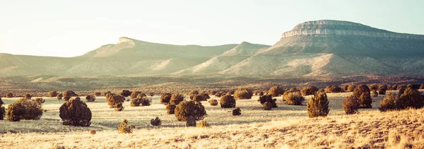 Panorama del deserto aperto — Foto Stock