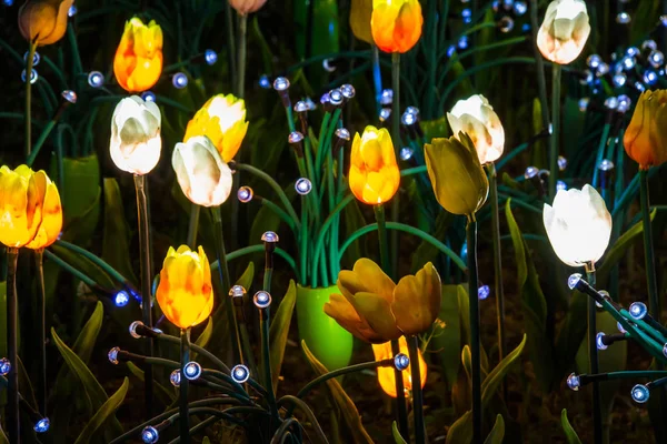 LED tulipany świeci w nocy — Zdjęcie stockowe