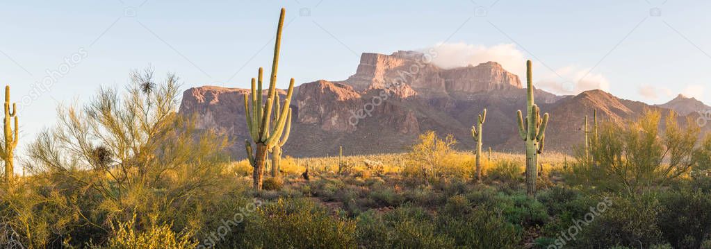 Panorama of the Superstition Mountains