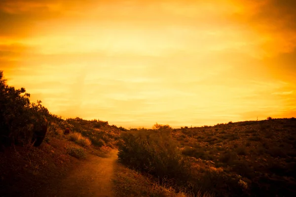 Wüstenpfad bei Sonnenuntergang in Schwarz-Weiß — Stockfoto