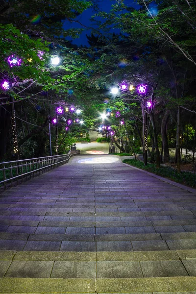 Stadspark på natten — Stockfoto