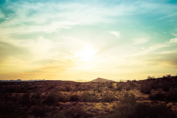 Un coucher de soleil sur le désert de Sonoran — Photo