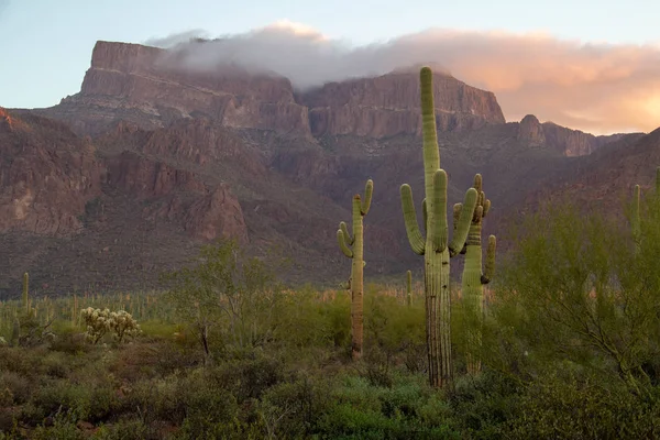 The Superstition Mountains — Stock Photo, Image