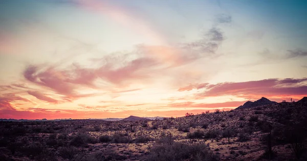 Una puesta de sol sobre el desierto de Sonora — Foto de Stock