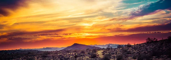 Закат над пустыней Соноран — стоковое фото