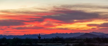 Arizona 'nın Sonoran Çölü' nde akşam gökyüzüne karşı bir saguaro kaktüsü silueti ile çöl batımı manzarası..