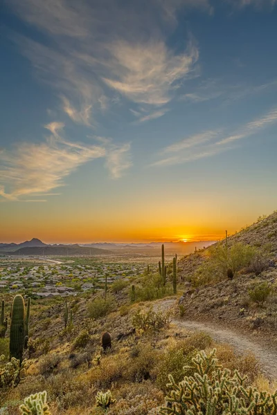 Phoenix, Arizona 'da bir vadide gün batımına giden bir dağdaki çöl patikası..