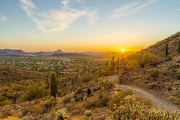 Phoenix, Arizona 'da bir vadide gün batımına giden bir dağdaki çöl patikası..