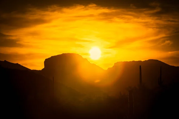 Brilho Quente Pôr Sol Deserto Sonoro Arizona Com Saguaro Cacti — Fotografia de Stock