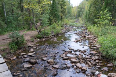 büyük örgü nehir Ulusal Park Taganay.river summer.the ormanında nehre taşlar. Ahşap köprü Nehri üzerinde.