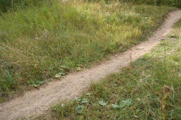 ormanda çiğnenmiş yol, yokuş aşağı, yakın