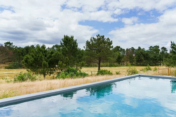 Bahçe havuzu ve ahşap güvertesi olan modern bir ev.