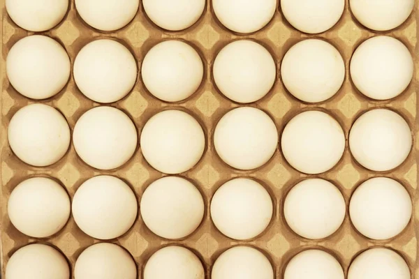 White Chicken Eggs Cardboard Package Top View Background — Stock Photo, Image